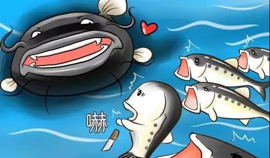 1531647200126935.jpg 微(wēi)信圖片_20180715173040.jpg